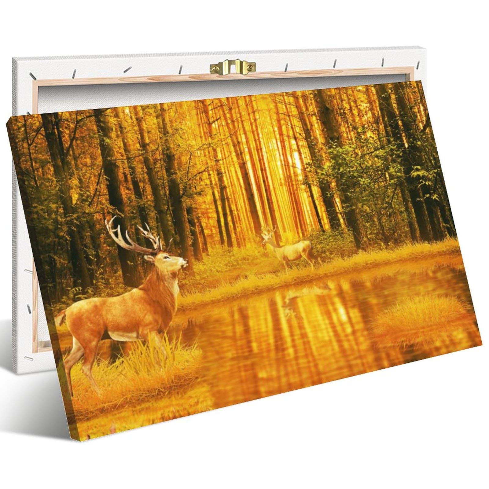 Deer in The Forest posterposter printhouse decorcanvases for paintingfor homewall Art for bathroomsFrame-style1 08×12inch(20×30cm)