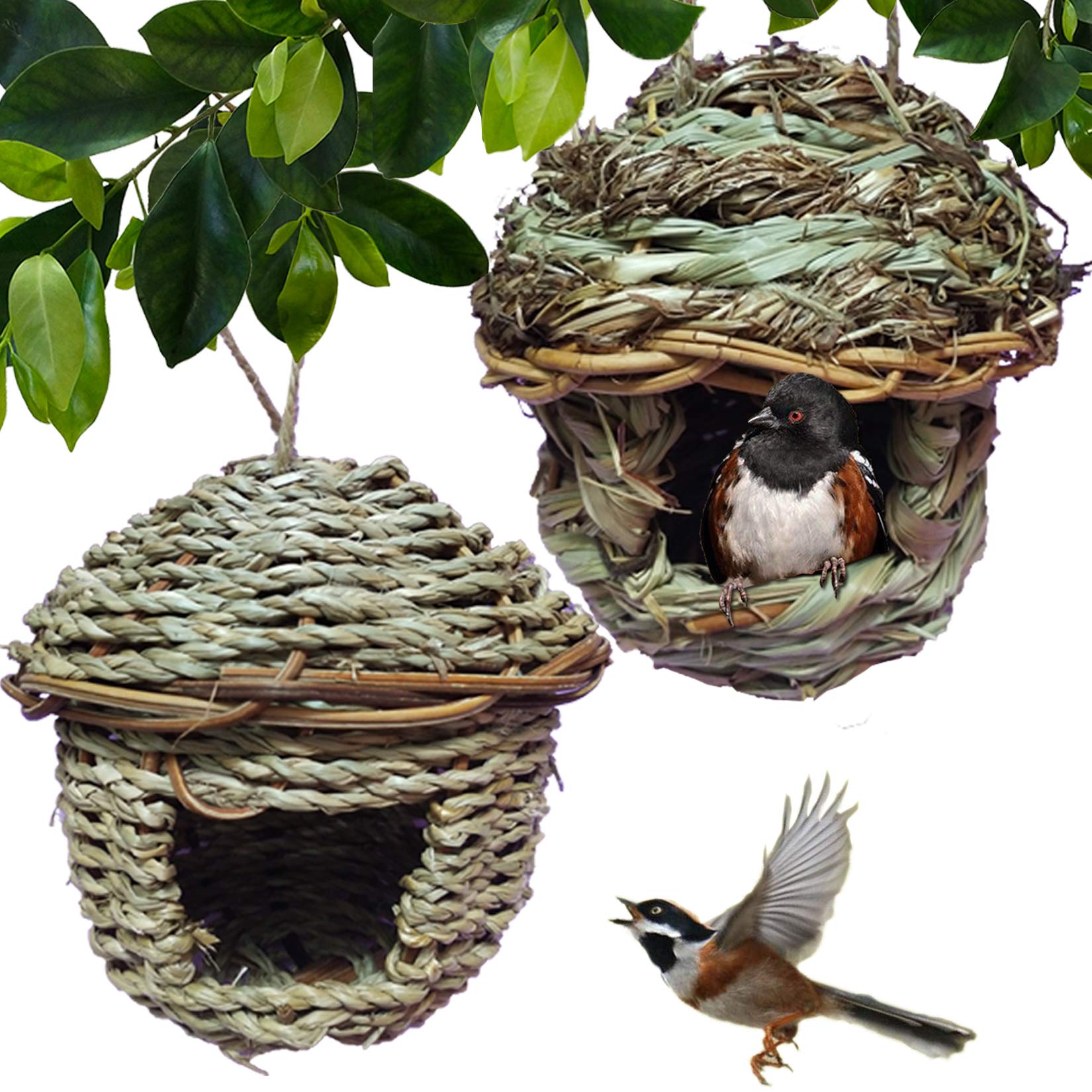 Hand-Woven Teardrop Shaped Eco-Friendly Birds Cages Nest Roosting,Grass Bird Hut,Hanging Bird House,Cozy Resting Place,100% Natural Fiber,Ideal for Birds - Provides shelter from Cold Weather