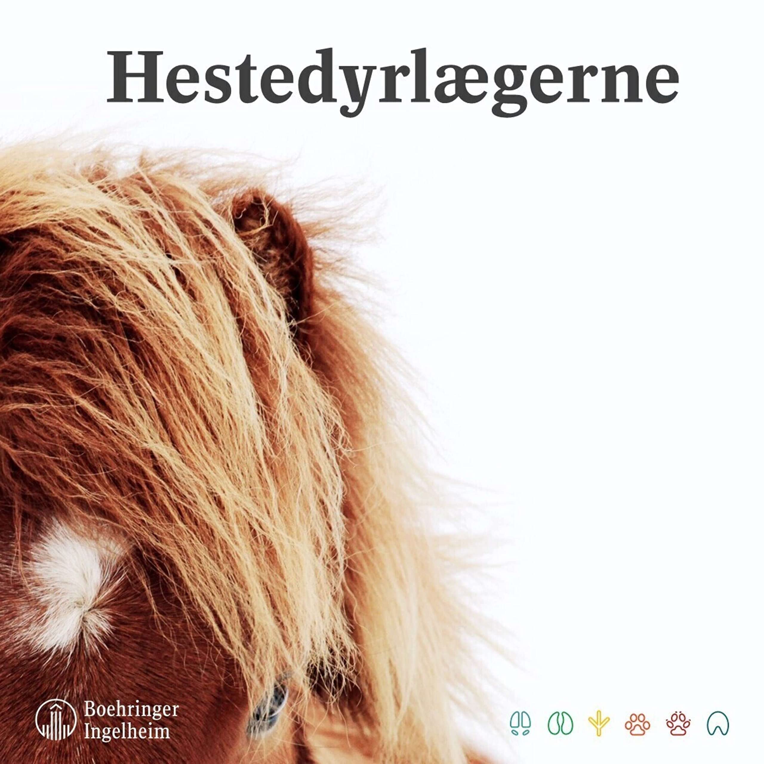 Hestedyrlægerne