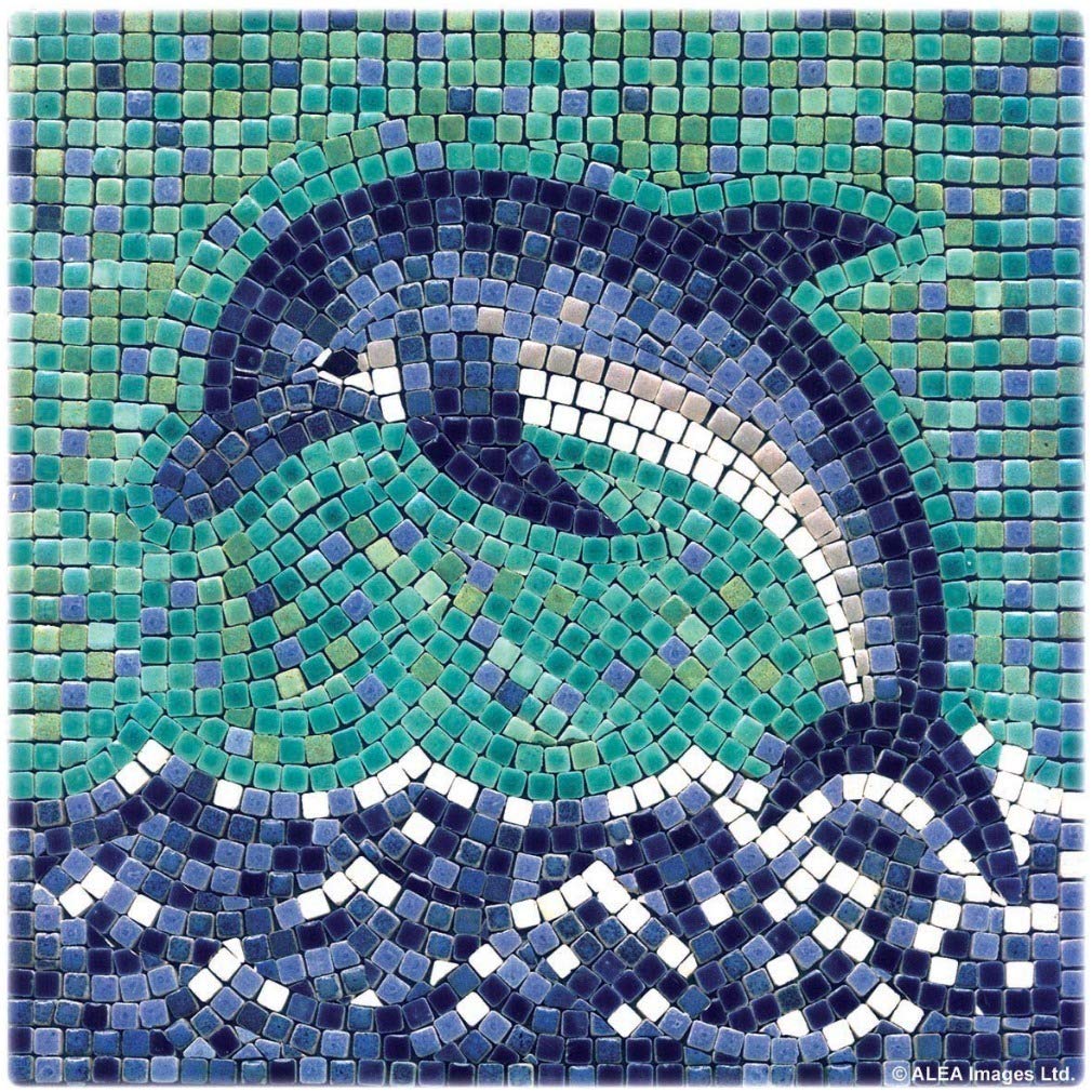 Handmade Mosaics Made Easy with Our Adult Mosaic Craft Kit, Square 7inch (20cm) Dolphin