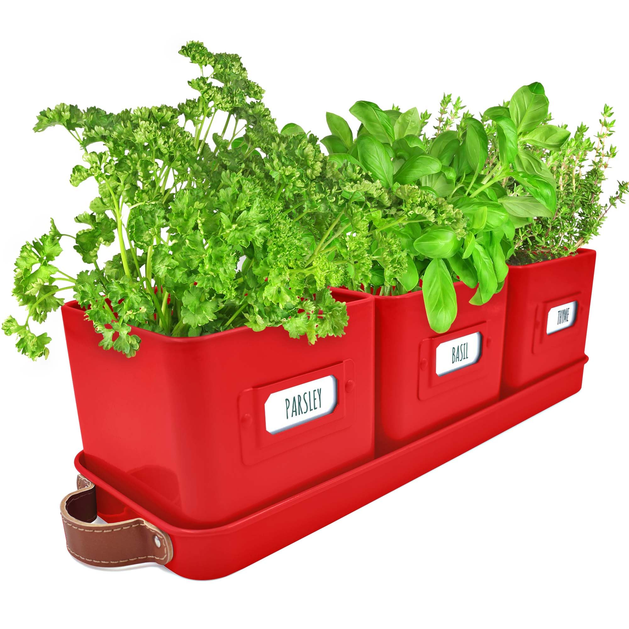 Green Thumbz Herb Pots for Kitchen Windowsill - Set of 3 Red Herb Planter Indoor with Leather Handled Tray - Ideal for an Indoor Herb Garden, Plants and Flowers - Labels Included