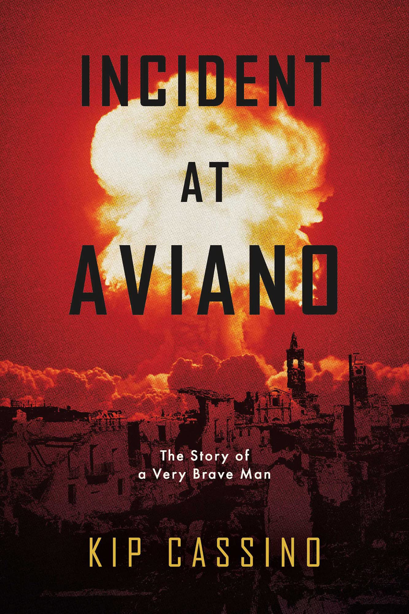 Incident at Aviano: The Story of a Very Brave Man