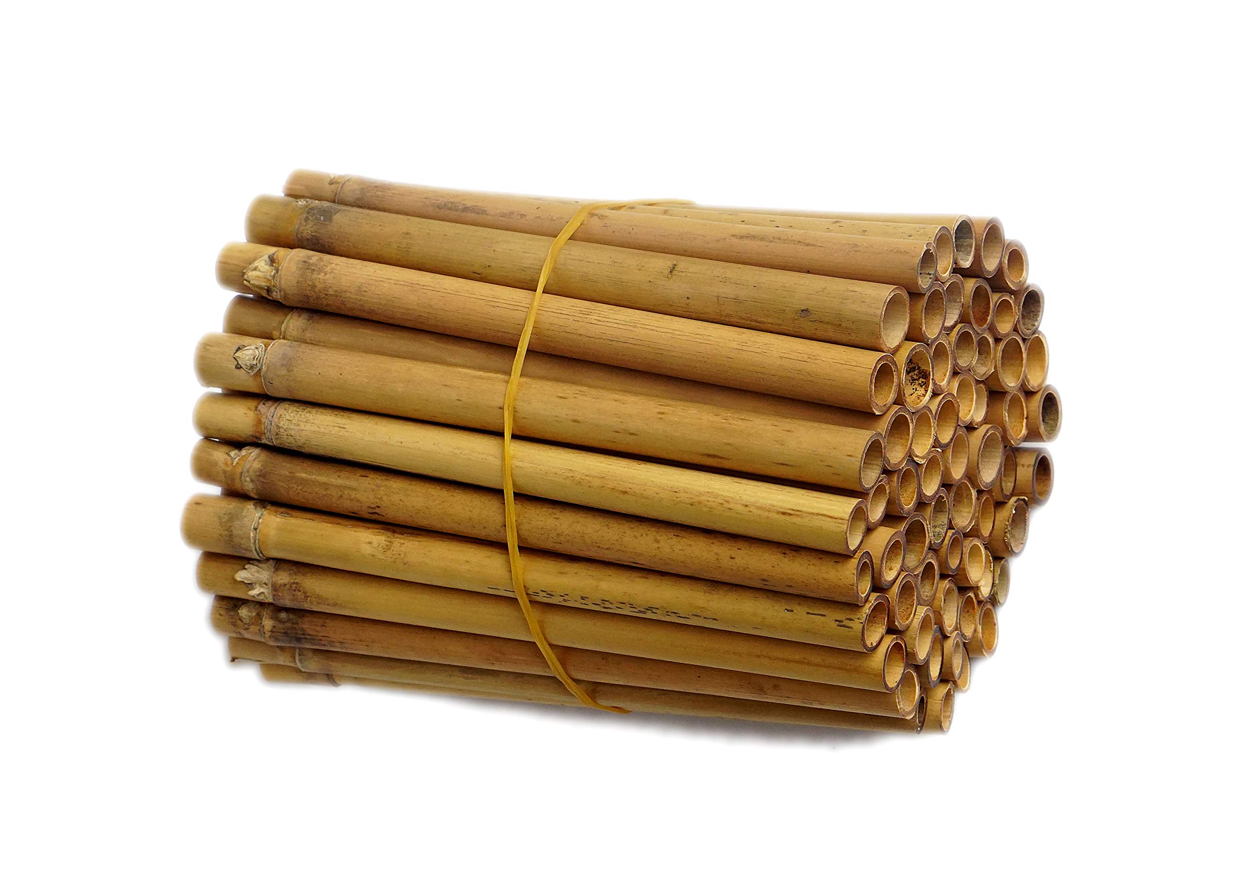 IA Crafts Bamboo Tubes, for Mason Bees, Natural Bamboo Bee Nest, Easy to Split for Cocoon Harvest, 5.9" Long and 0.27"-0.4" Inner Diameter