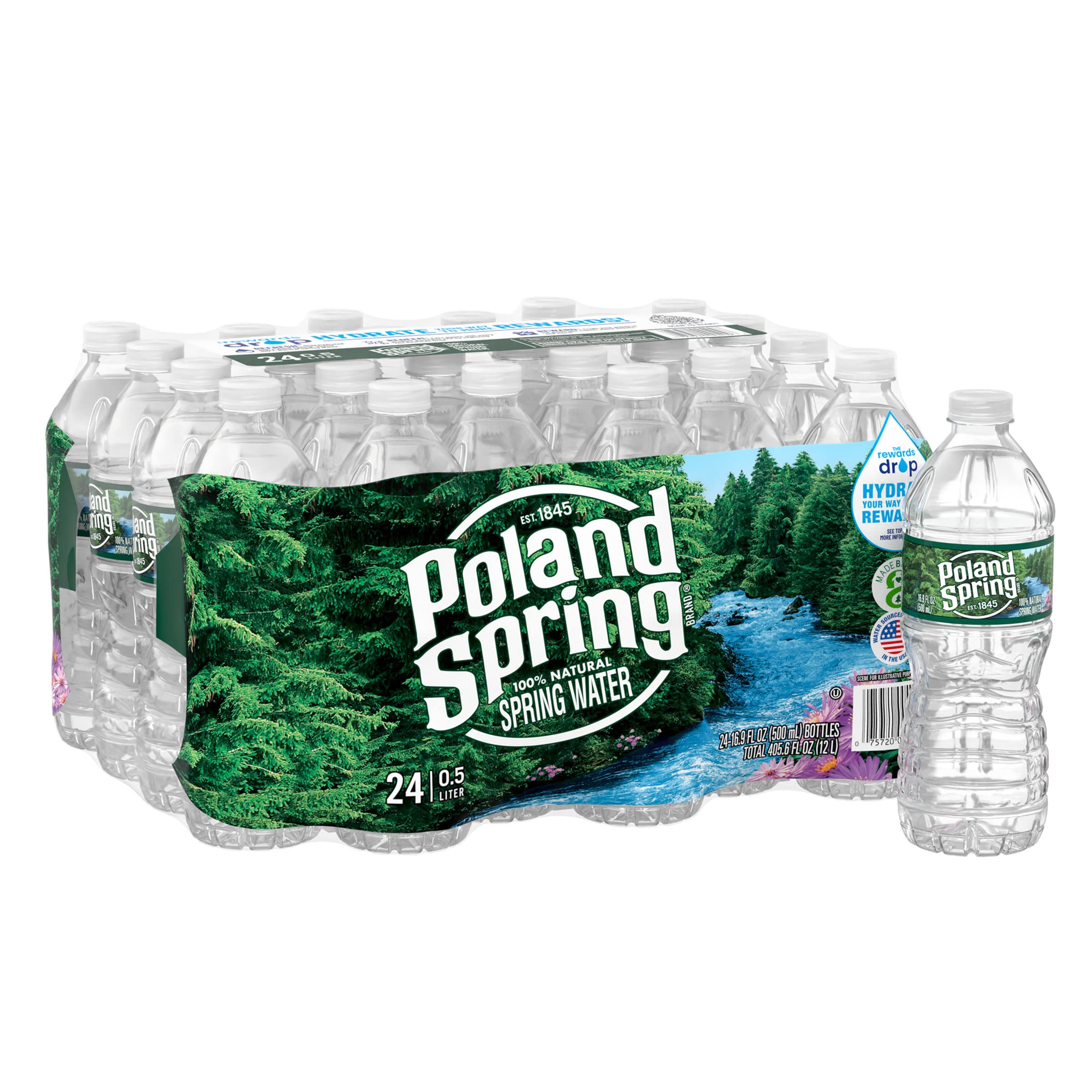 Poland SpringBrand 100% Natural Spring Water, 16.9 oz Plastic Bottles (Pack of 24)