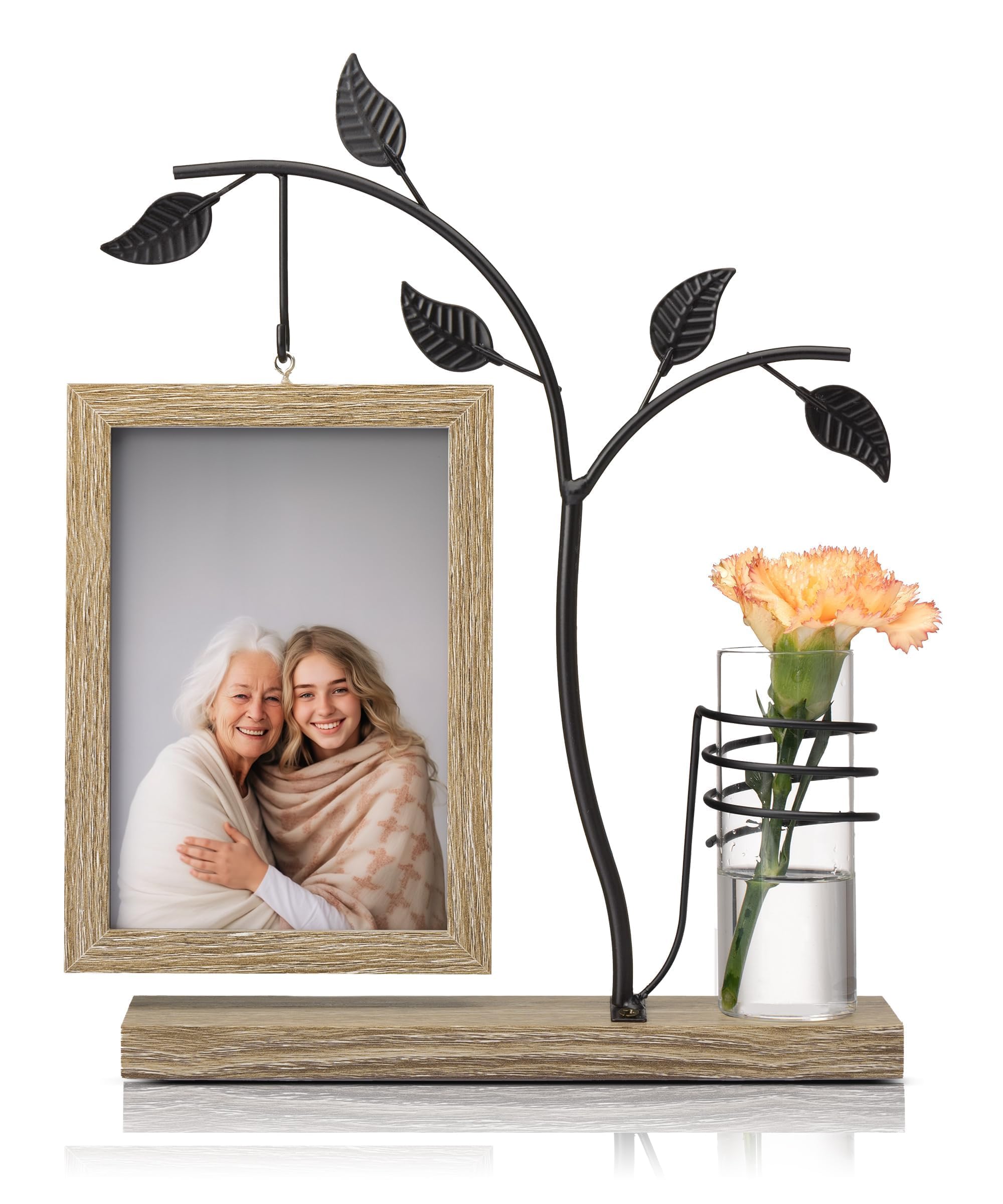 Desktop Picture Frame Potted Plants Photo Frames, Double Side Hanging Picture Frame Holds 2Pcs 4x6 Inch Vertical Pictures with Plants Glass Vase, Tabletop Standing Decor for Home Office Wedding