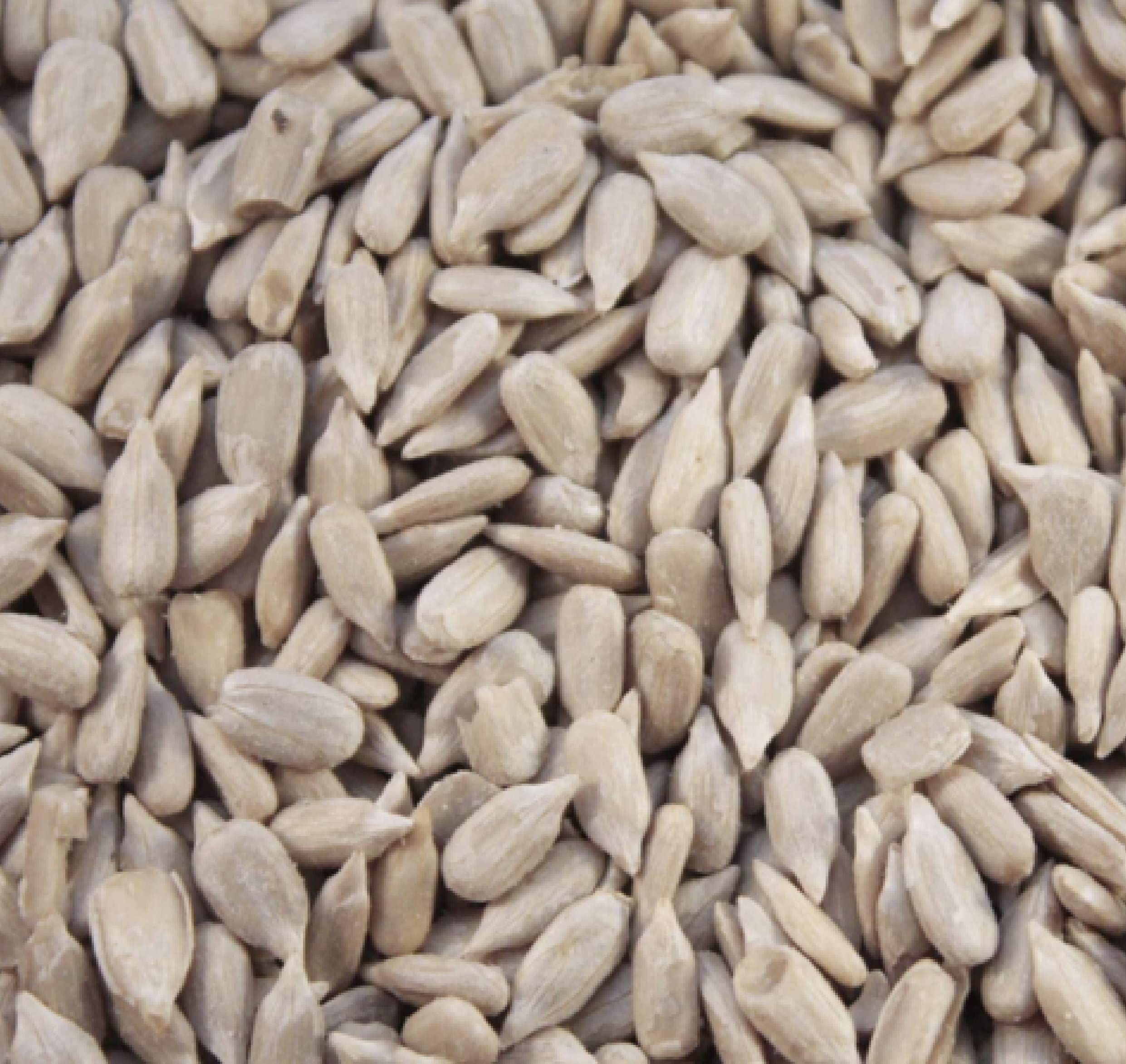 Sunflower Hearts 15kg Premium Wild Bird Food Seed