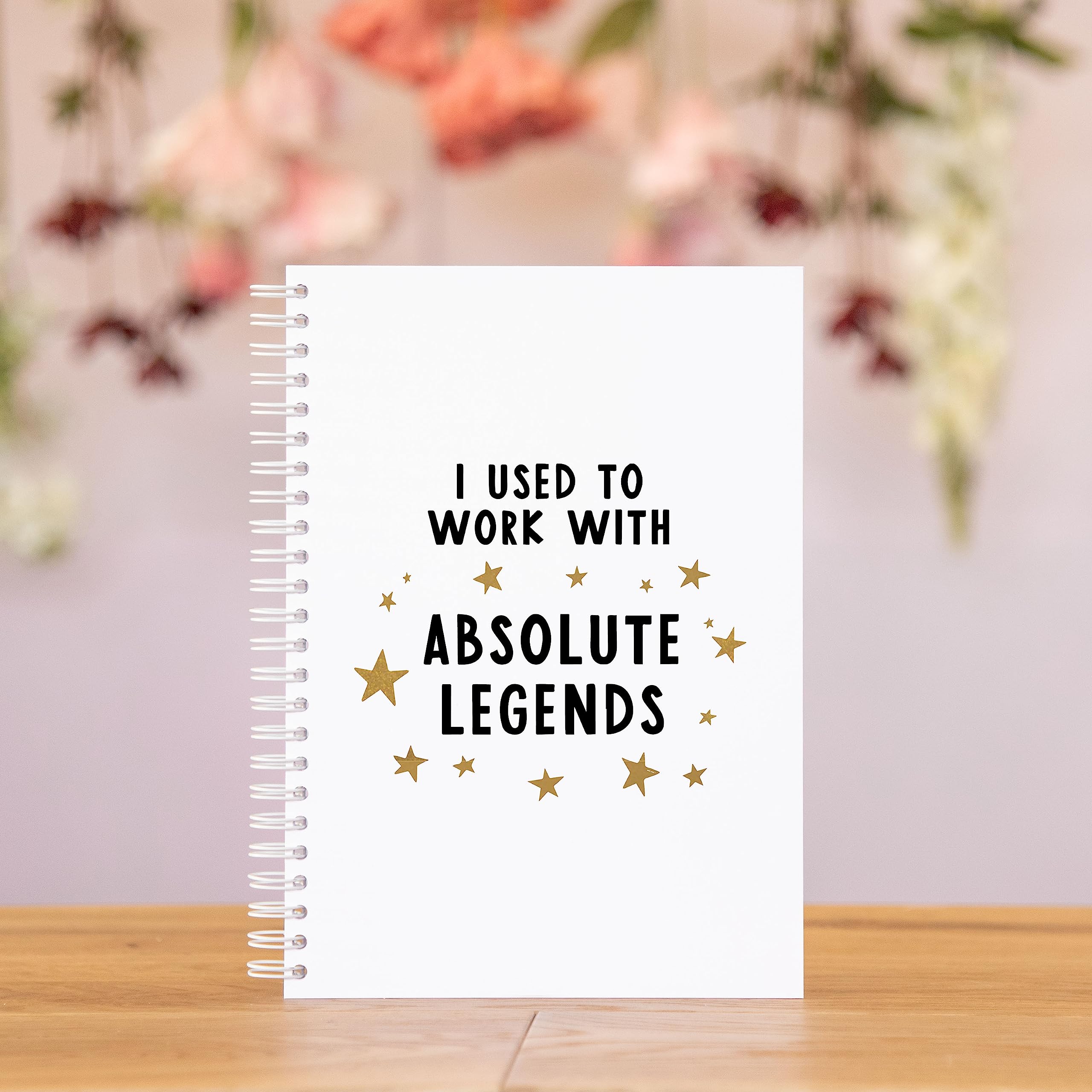 Manta Makes I used to work with absolute legends notebook spiralbound | work friend leaving work gifts | funny joke work leaving gifts (Lined paper)