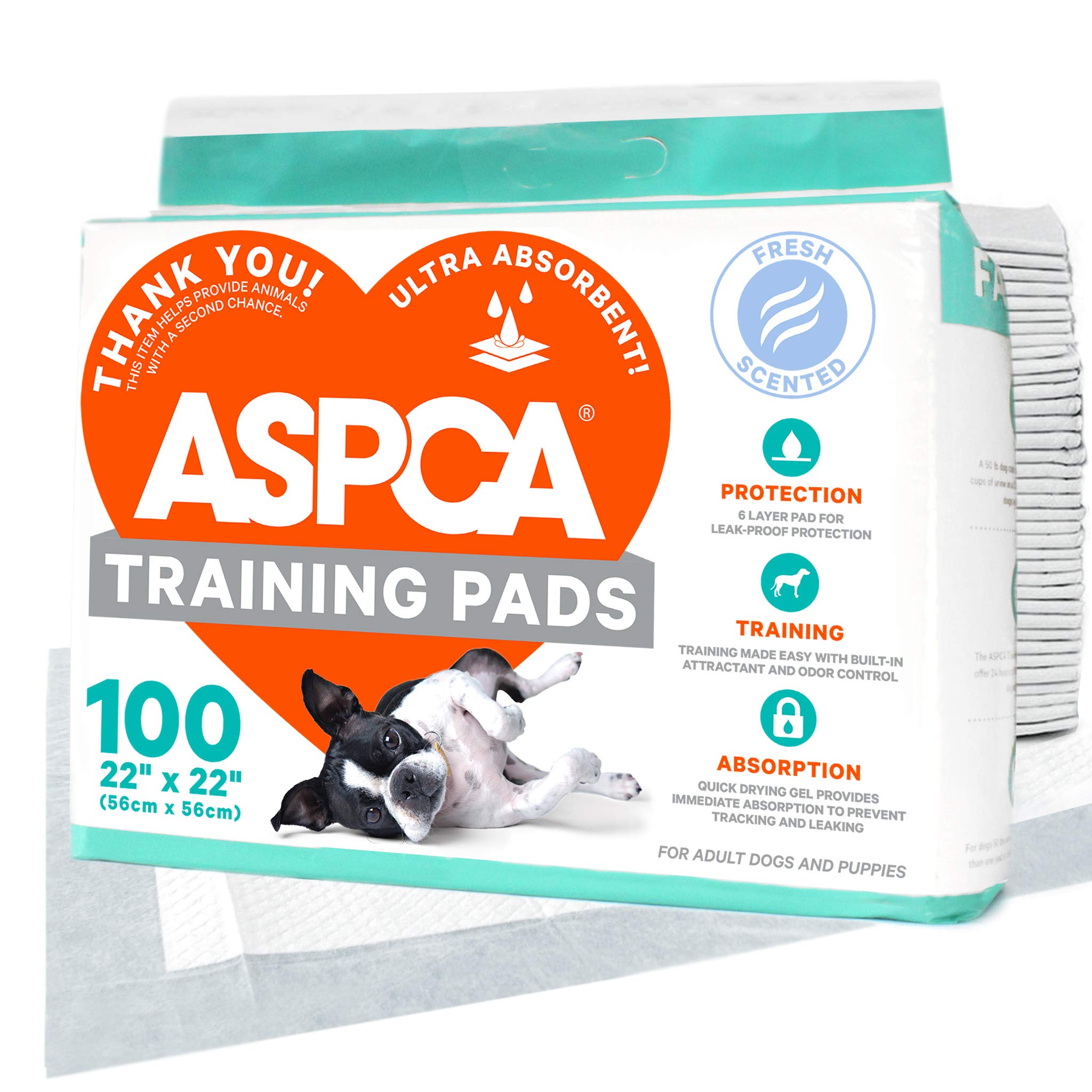 AS62930 Dog Training Pads, Pack of 100, Gray, 22" x 22" - Pack of 100