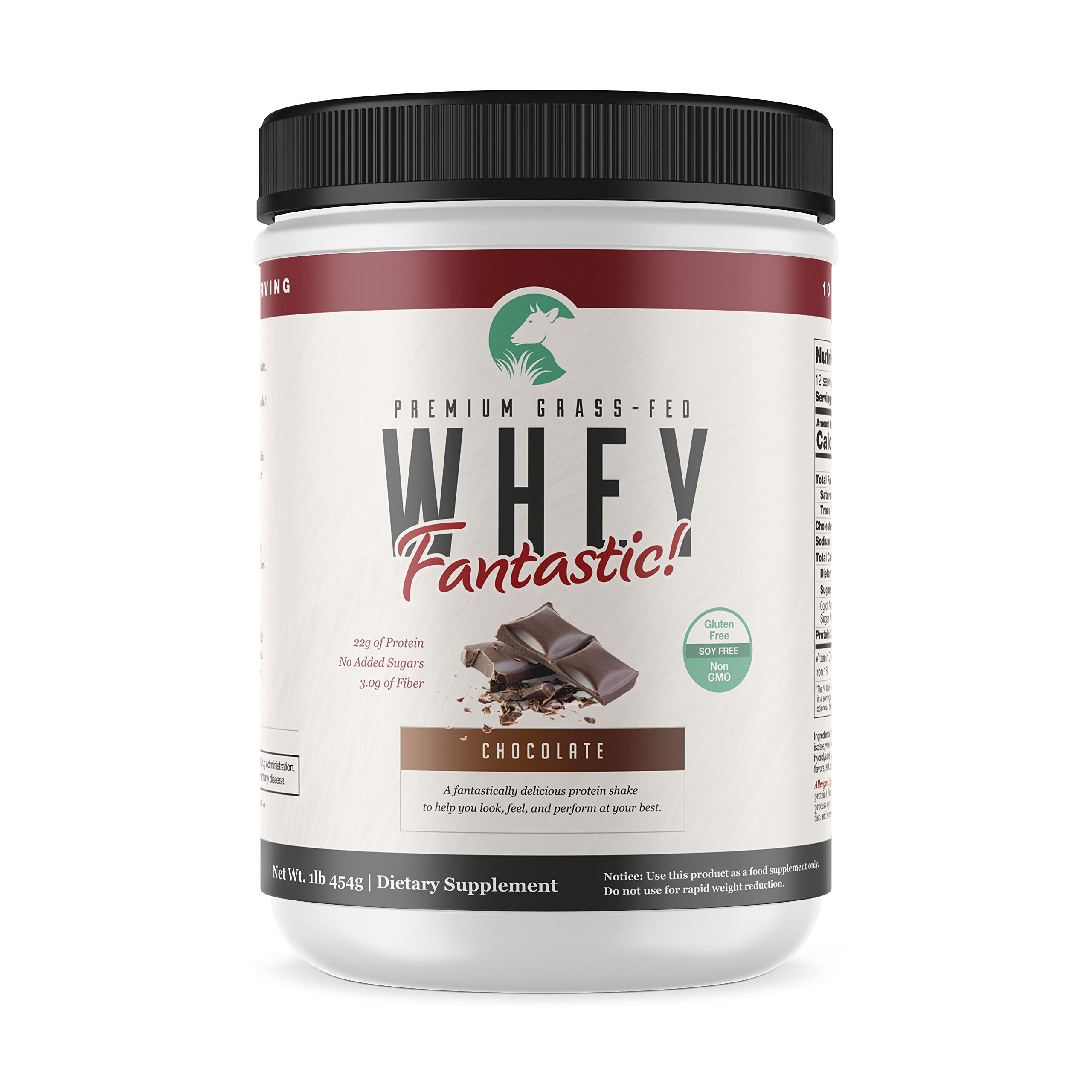 Whey Fantastic (Chocolate, 1 lb)