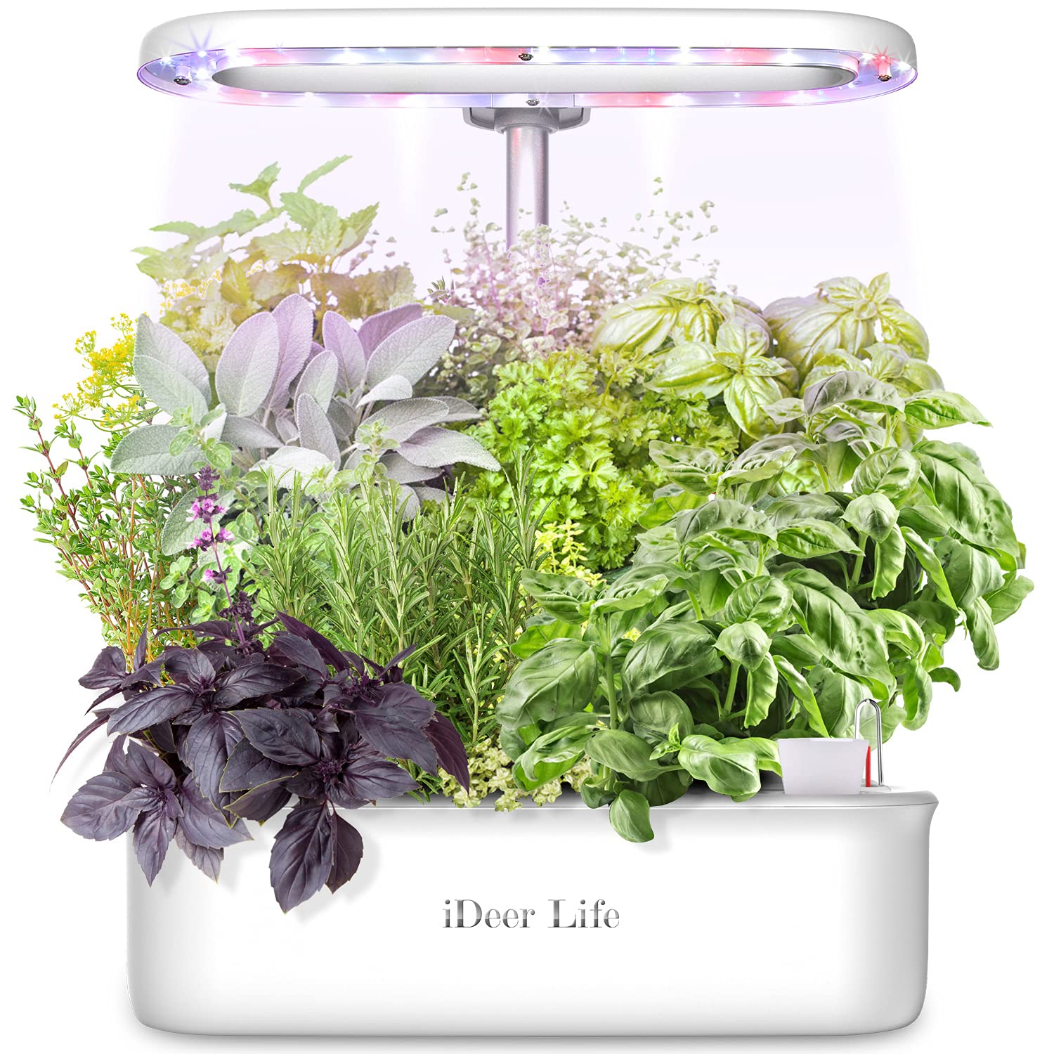 iDeer LIFE Smart Indoor Gardening System, Hydroponics Growing Kit with LED Plant Grow Light, Indoor Herb Garden with 8 Pods for School Education, Home, Heights Adjustable, Soil-Free Plantation