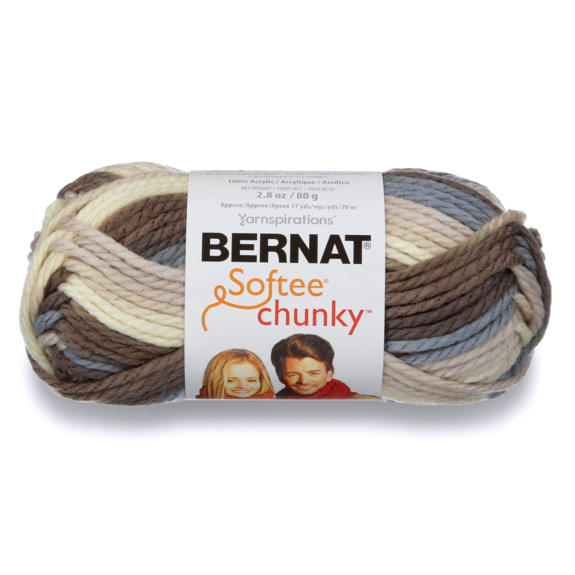 Bernat Softee Chunky Ombre Yarn, Natures Way, Single Ball