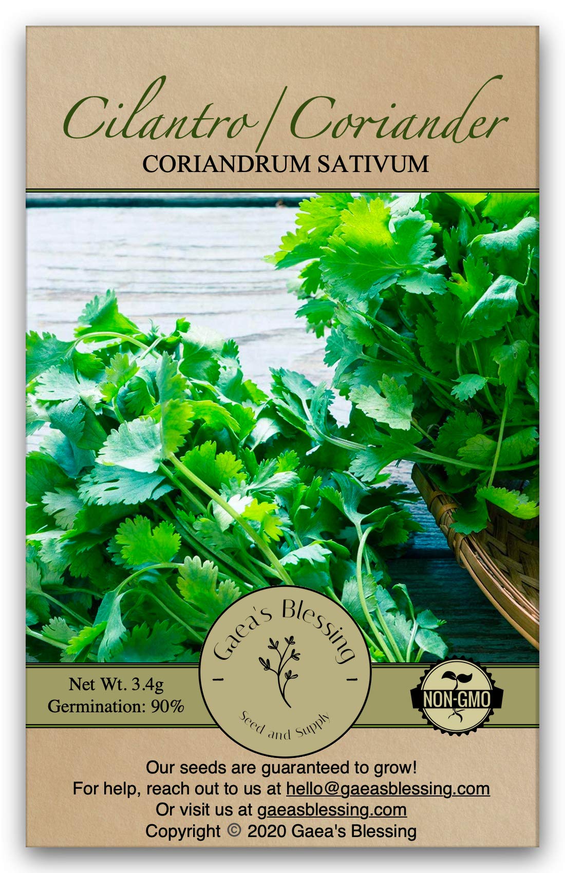 Gaea's Blessing Seeds - Cilantro Seeds - Non-GMO Heirloom Seeds with Easy to Follow Instructions - Leisure Coriander Heirloom - 90% Germination Rate (Single Pack)