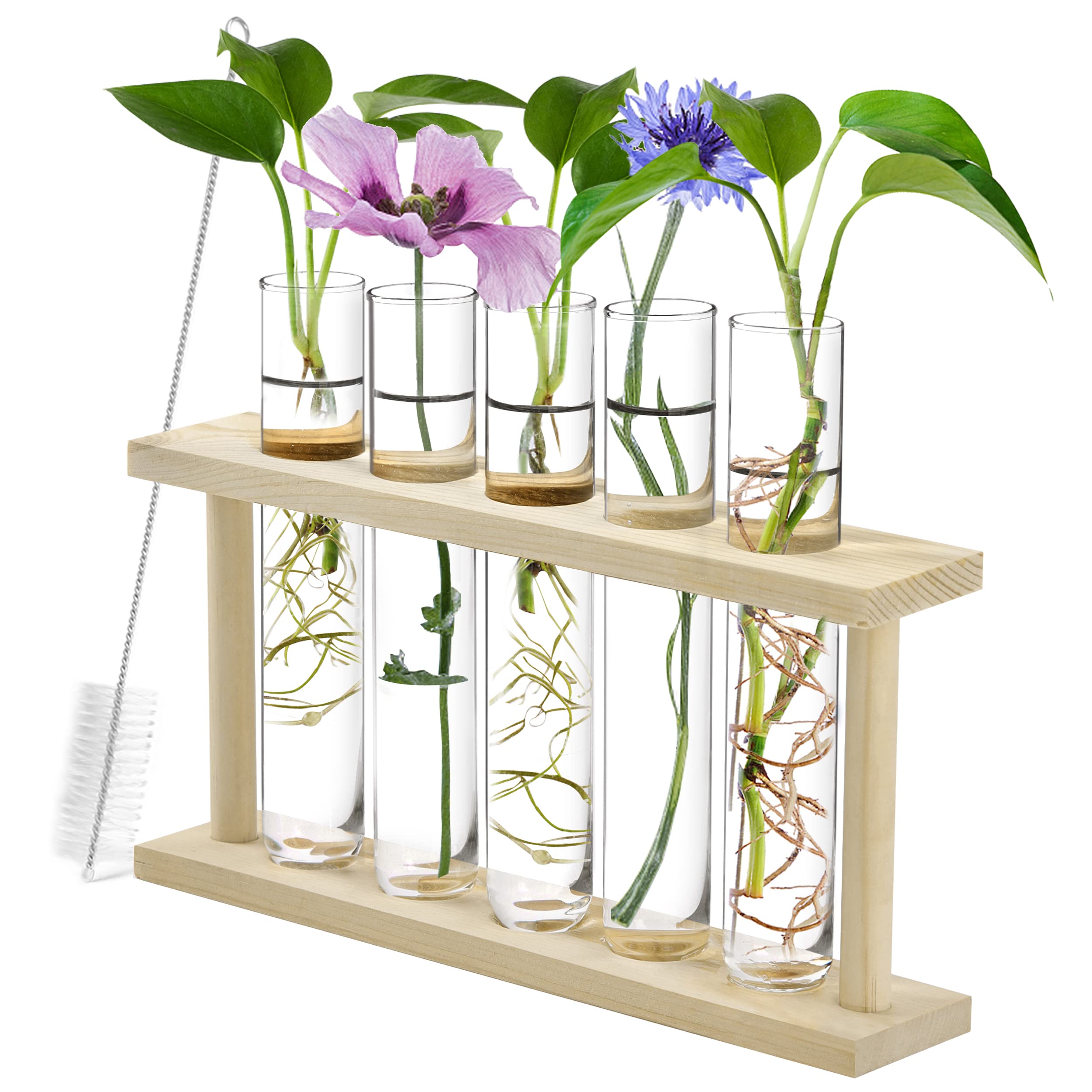 Joyclub Plant Propagation Station with 6 Test Tubes Desktop Plant Terrarium with Wooden Stand for Home Office Decoration