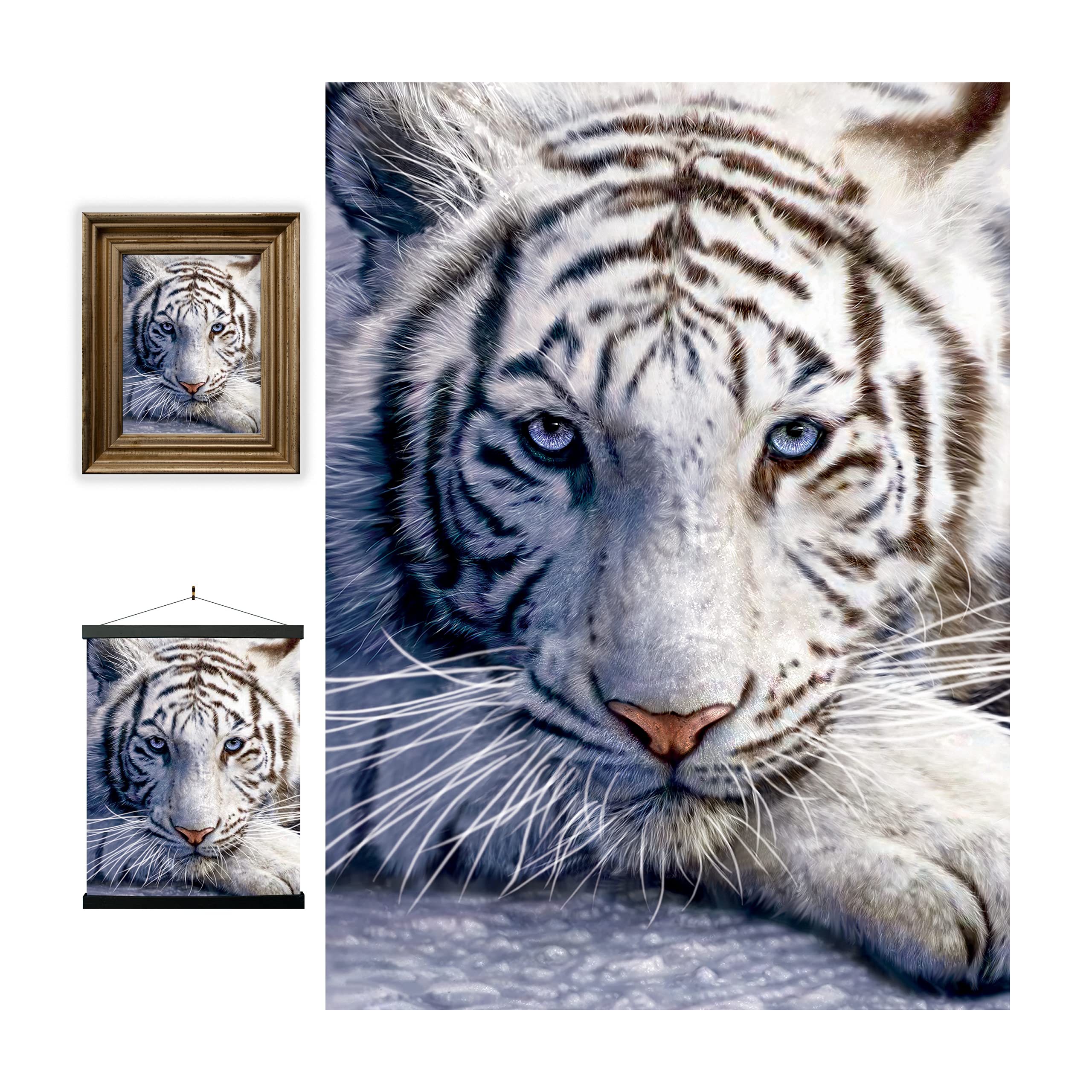 3D LiveLife Lenticular Wall Art Prints - White Tiger Repose from Deluxebase. Unframed 3D Jungle Poster. A perfect wall filler. Original artwork licensed from renowned artist, David Penfound