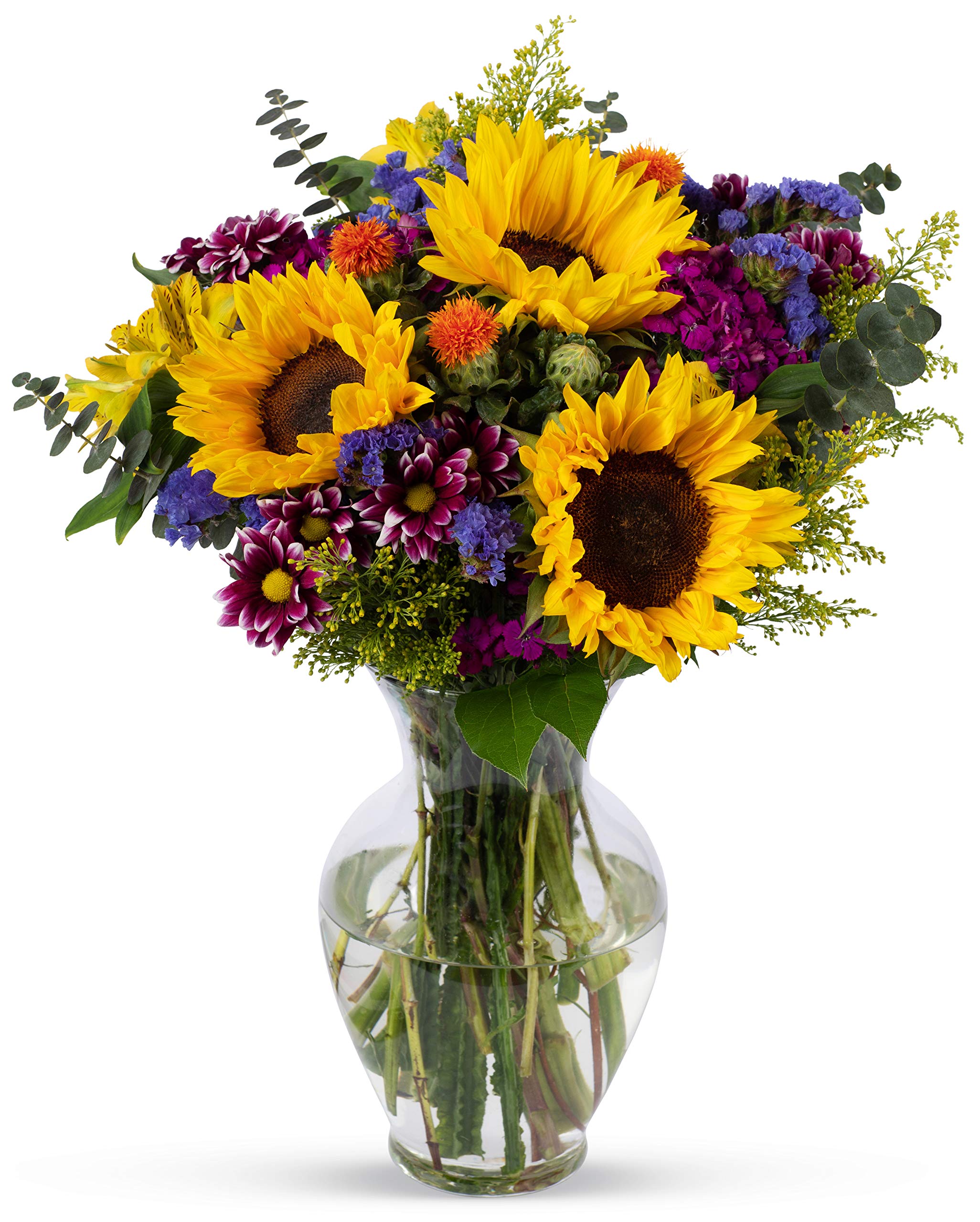 Benchmark BouquetsFlowering Fields, Glass Vase Included, Gift Fresh Flowers for Birthday, Anniversary, Get Well, Sympathy, Congratulations, Thank You, Just Because