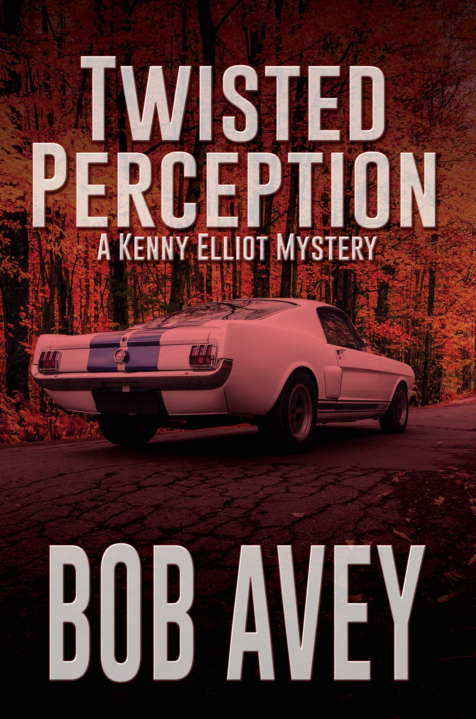 Twisted Perception: A Kenny Elliot Mystery