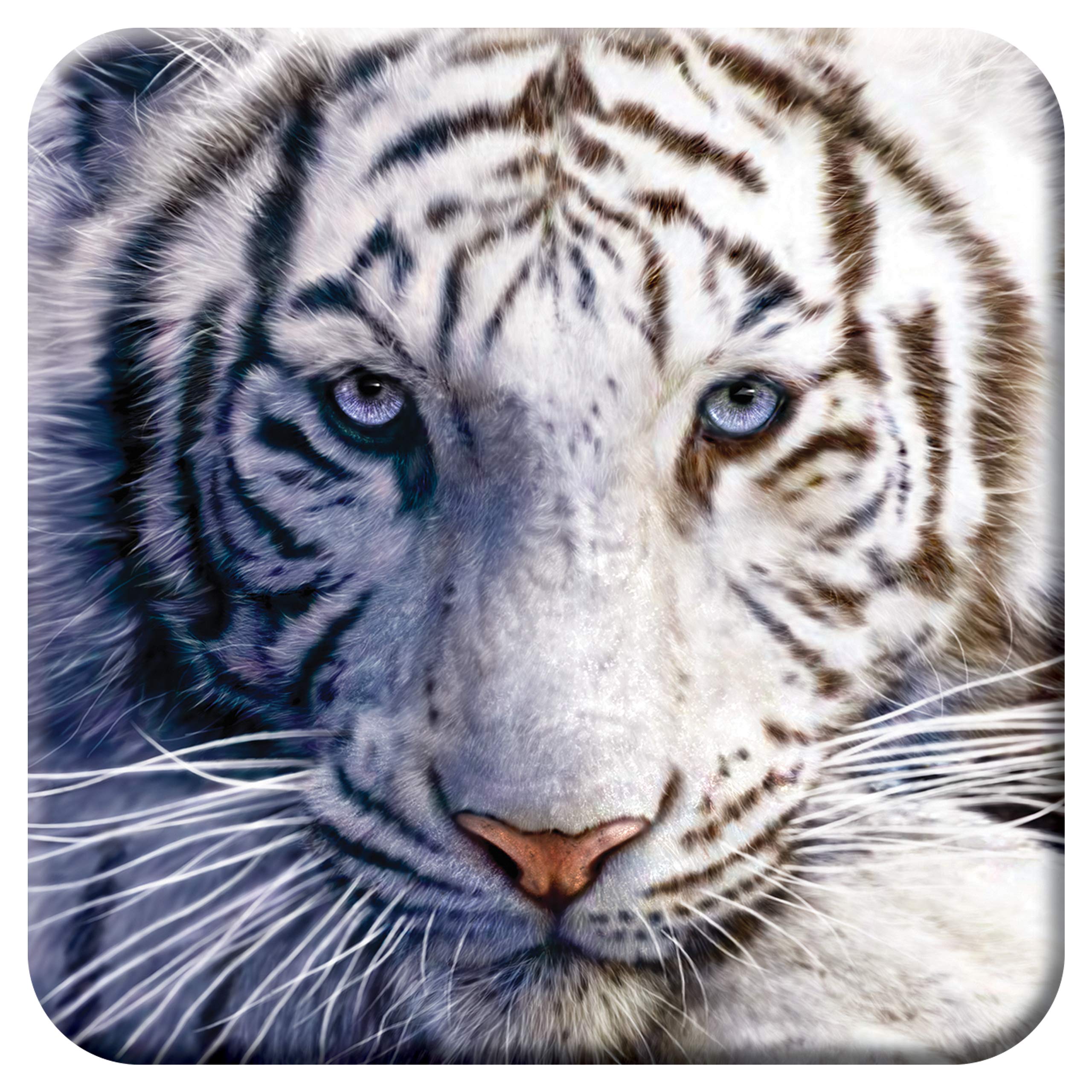 3D LiveLife Cork Coaster - White Tiger Repose from Deluxebase. Lenticular 3D Cork Big Cat Coaster. Non-slip drinks mat with original artwork licensed from renowned artist, David Penfound