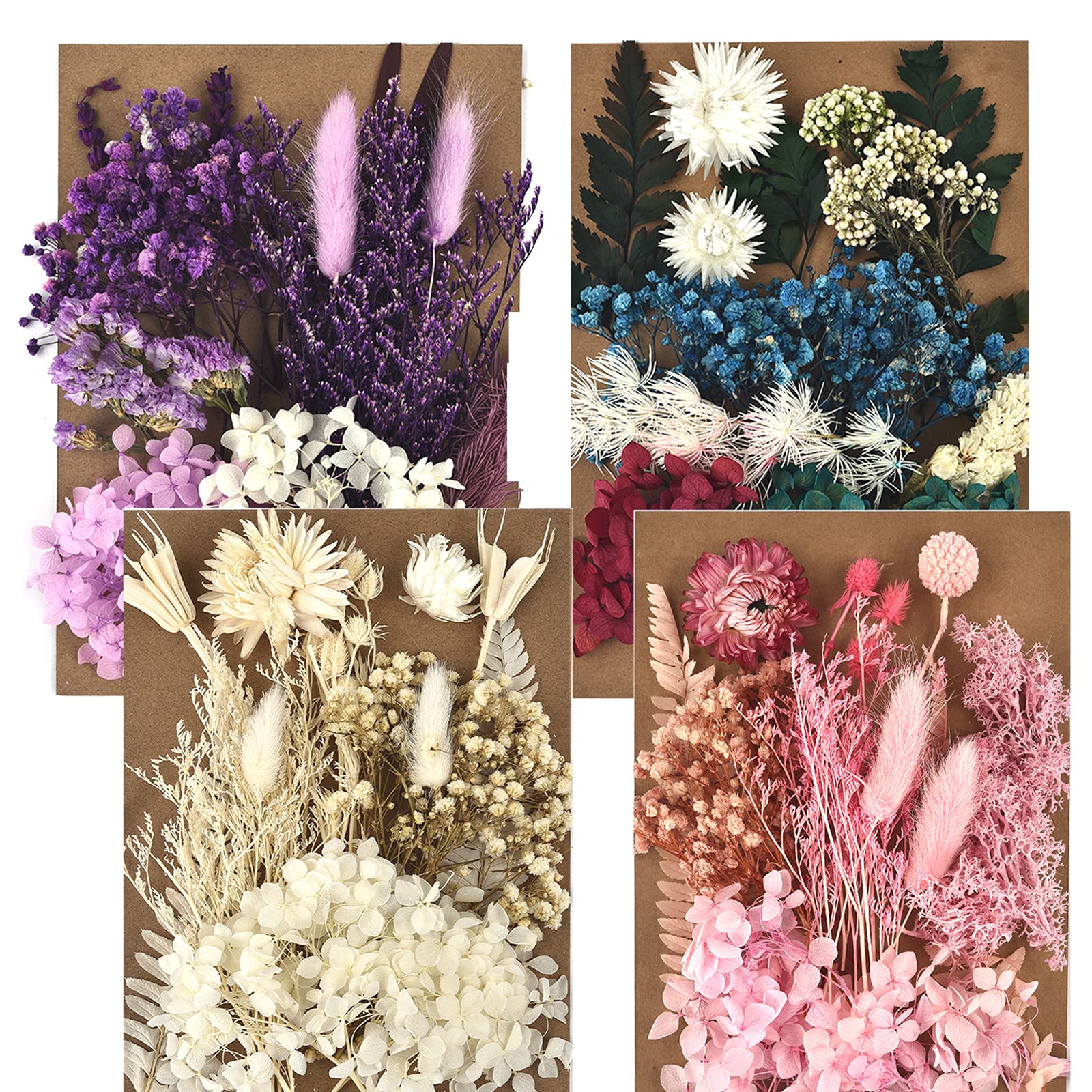 DALARAN 5 Pack Pressed Dried Flowers Multiple Colorful Pressed Flowers for Craft Resin Jewelry Making Art Craft DIY