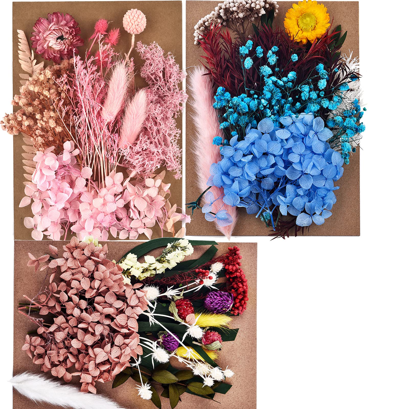 DALARAN 3 Pack Dried Pressed Flowers for Soap Candle Making and Resin Jewelry Making Pressed Flower