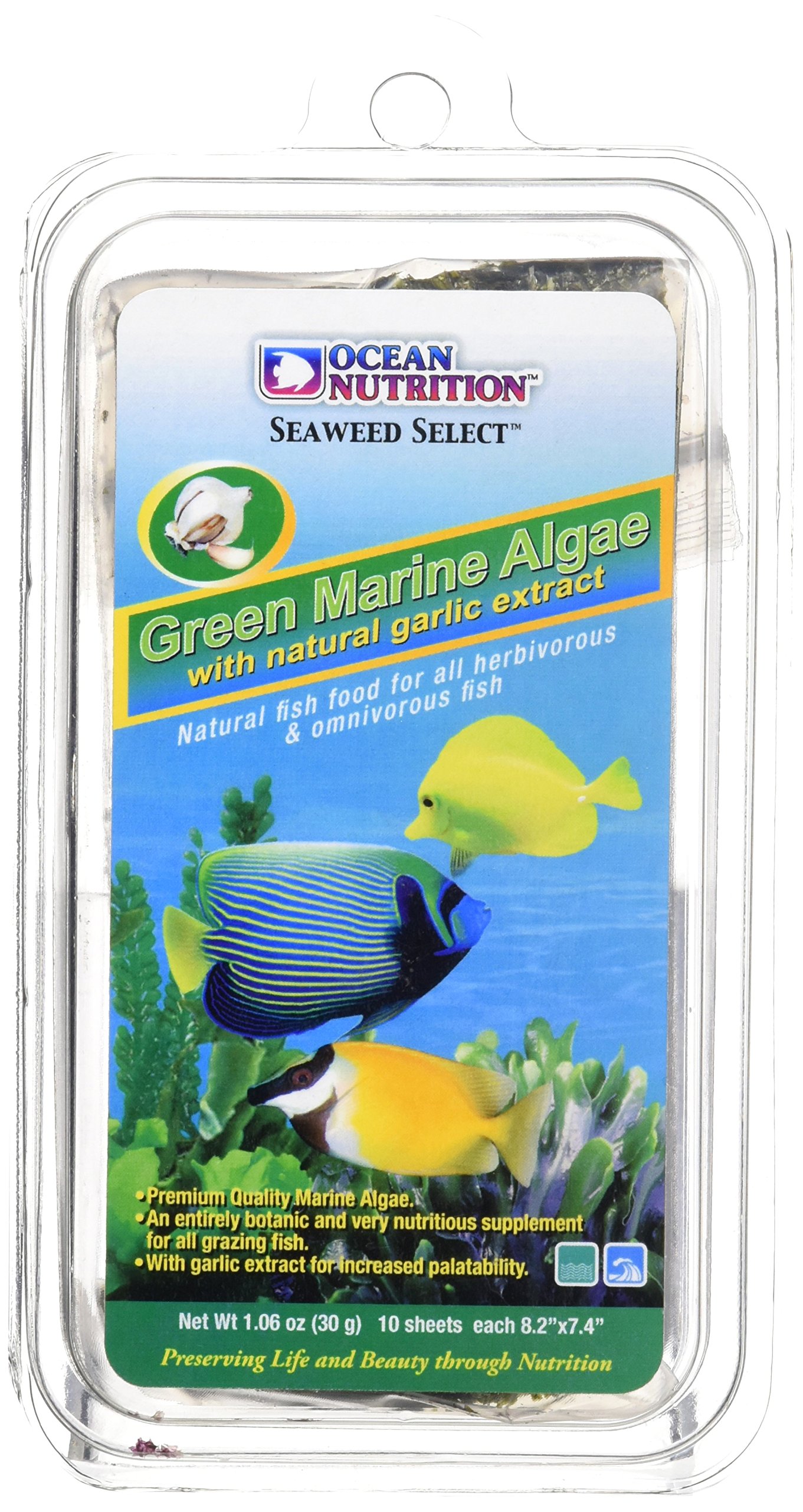 Ocean Nutrition Morning Algae Frozen Food, 30g, Green