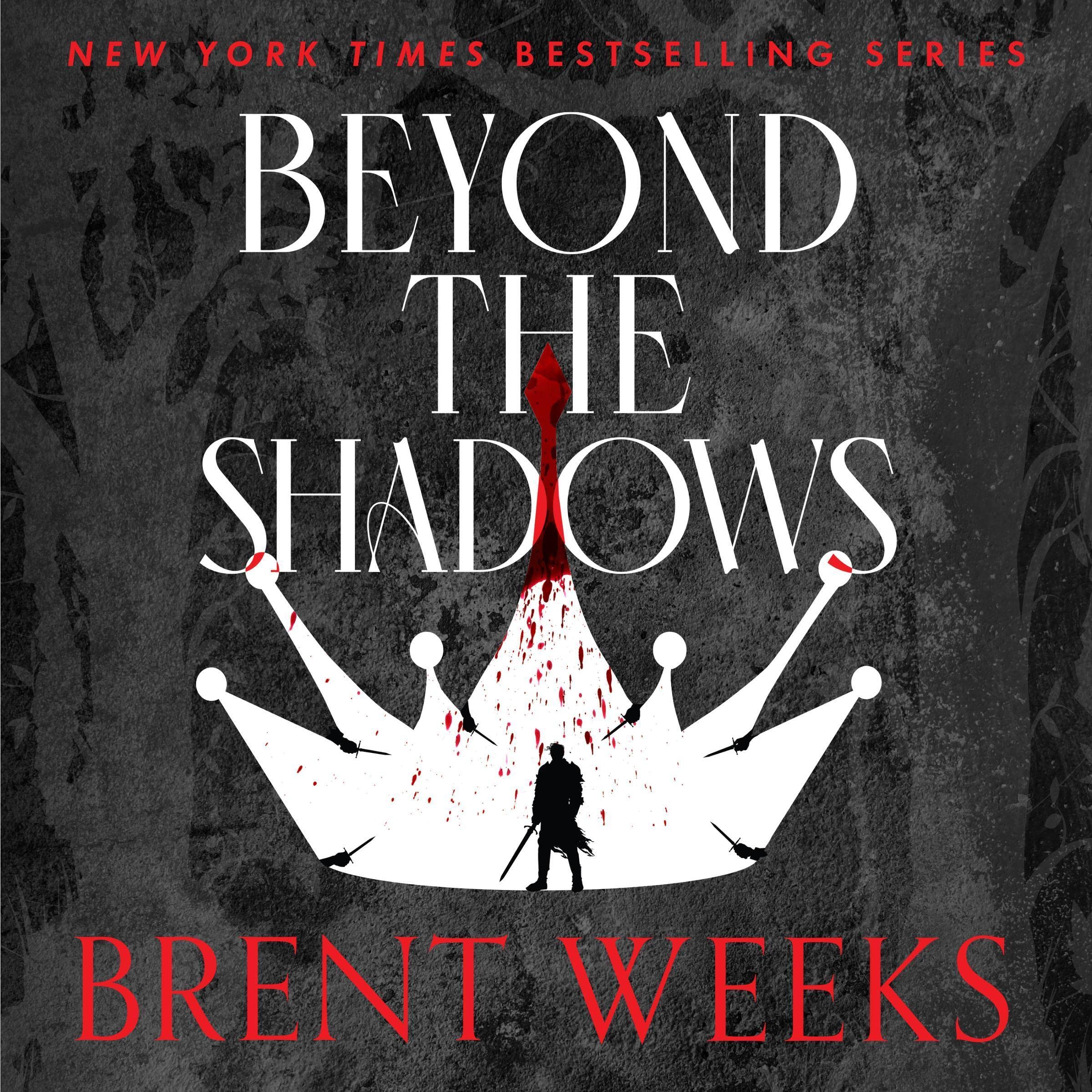 Beyond the Shadows: Night Angel, Book 3