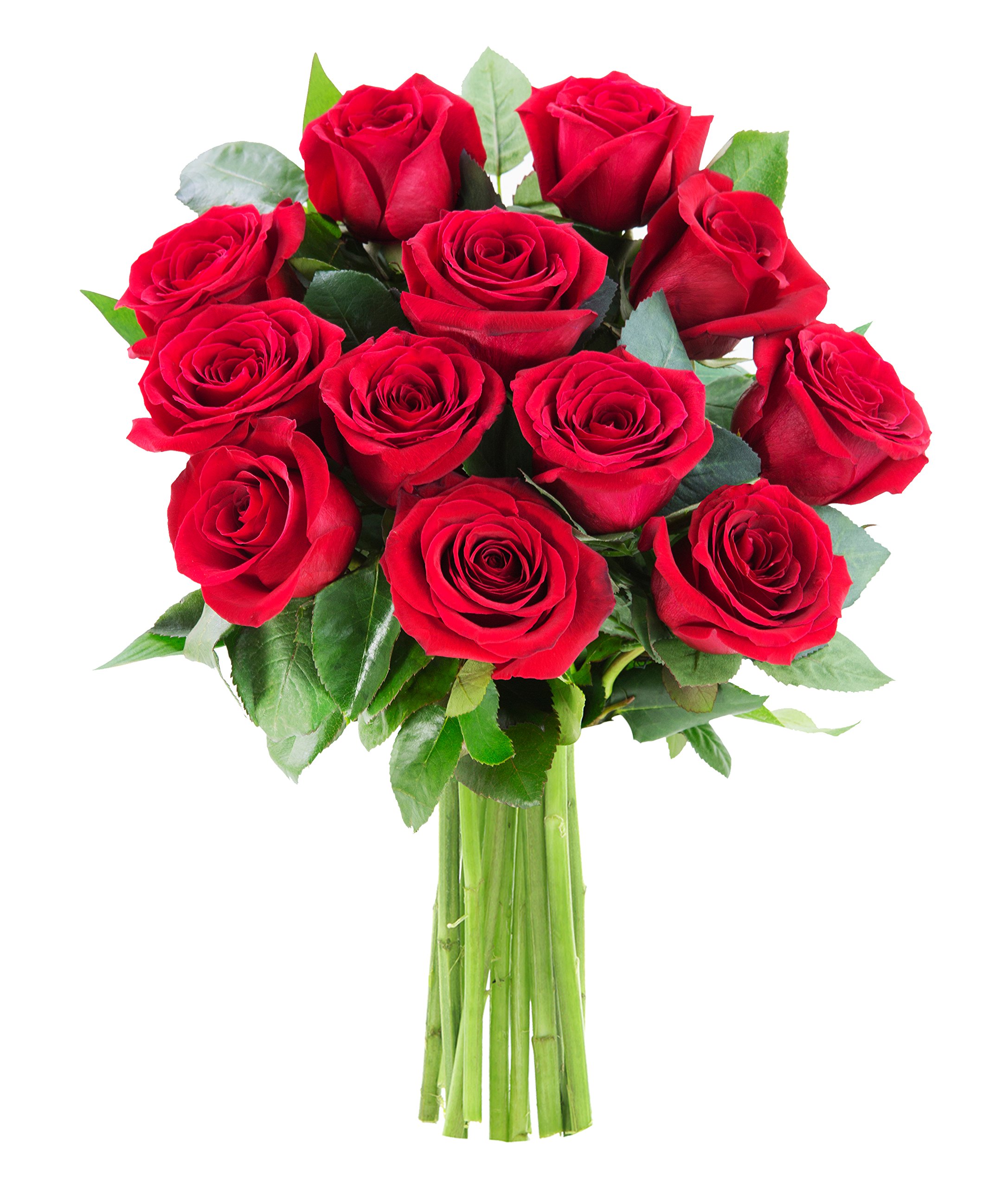 KaBloom PRIME NEXT DAY DELIVERY - Fall Collection - The Romantic Classic Bouquet of 12 Fresh Red Roses (Farm-Fresh, Long-Stem).Gift for Birthday,Valentine, Mother’s Day Fresh Flowers