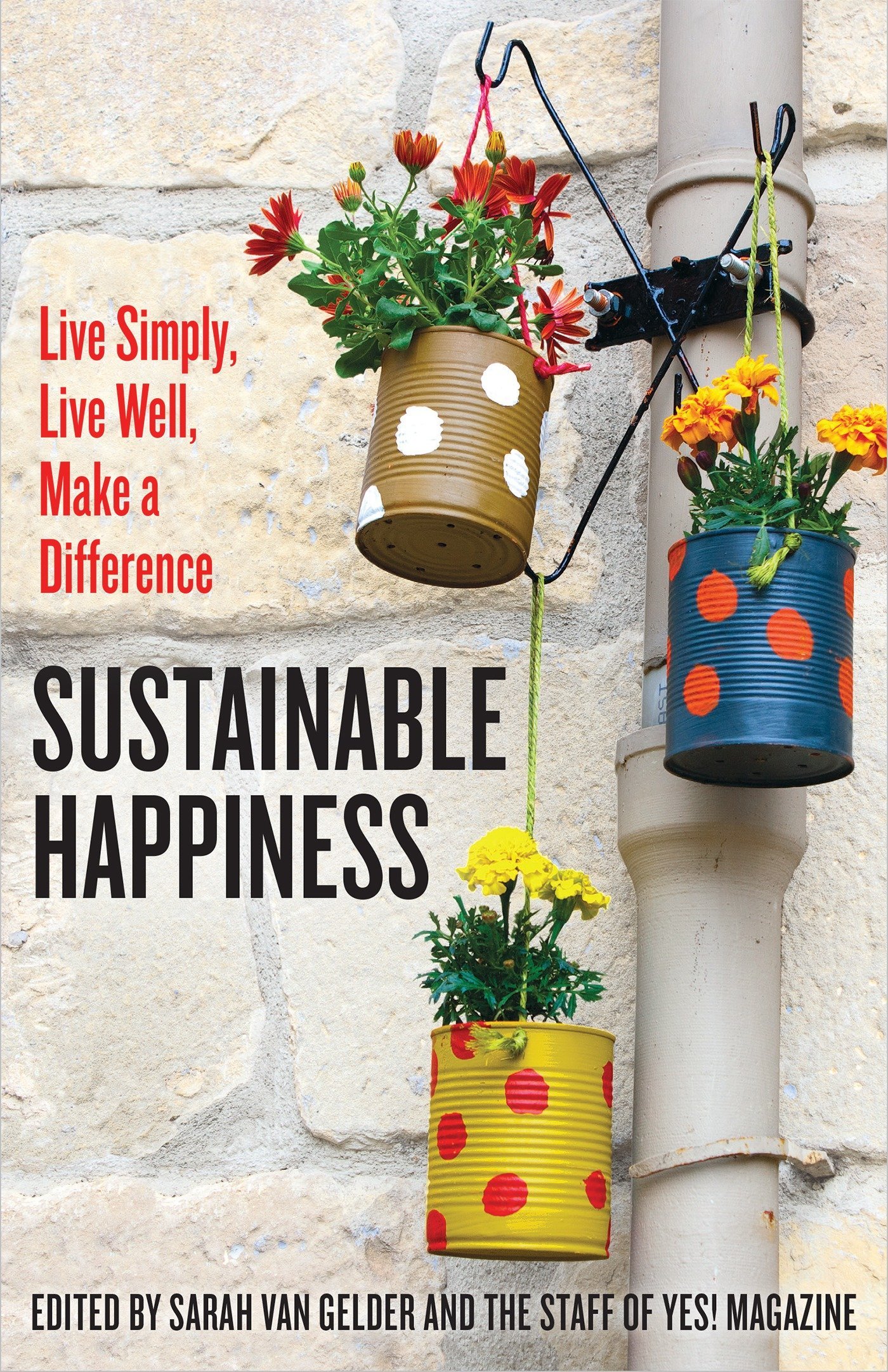 Sustainable Happiness: Live Simply, Live Well, Make a Difference (UK PROFESSIONAL BUSINESS Management / Business)