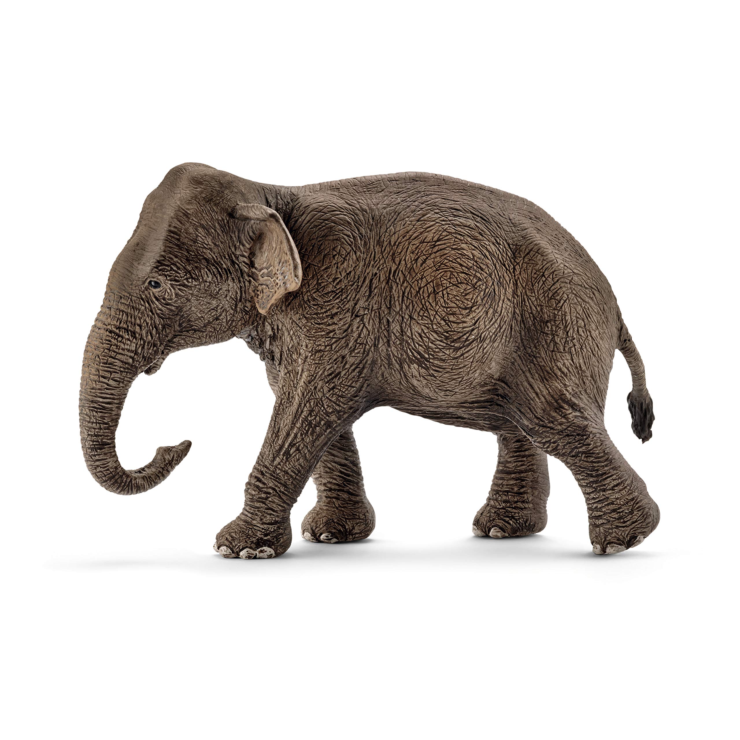 SchleichWild Life, Realistic Wild Animal Toys for Boys and Girls, Female Asian Elephant Toy Figurine, Ages 3+