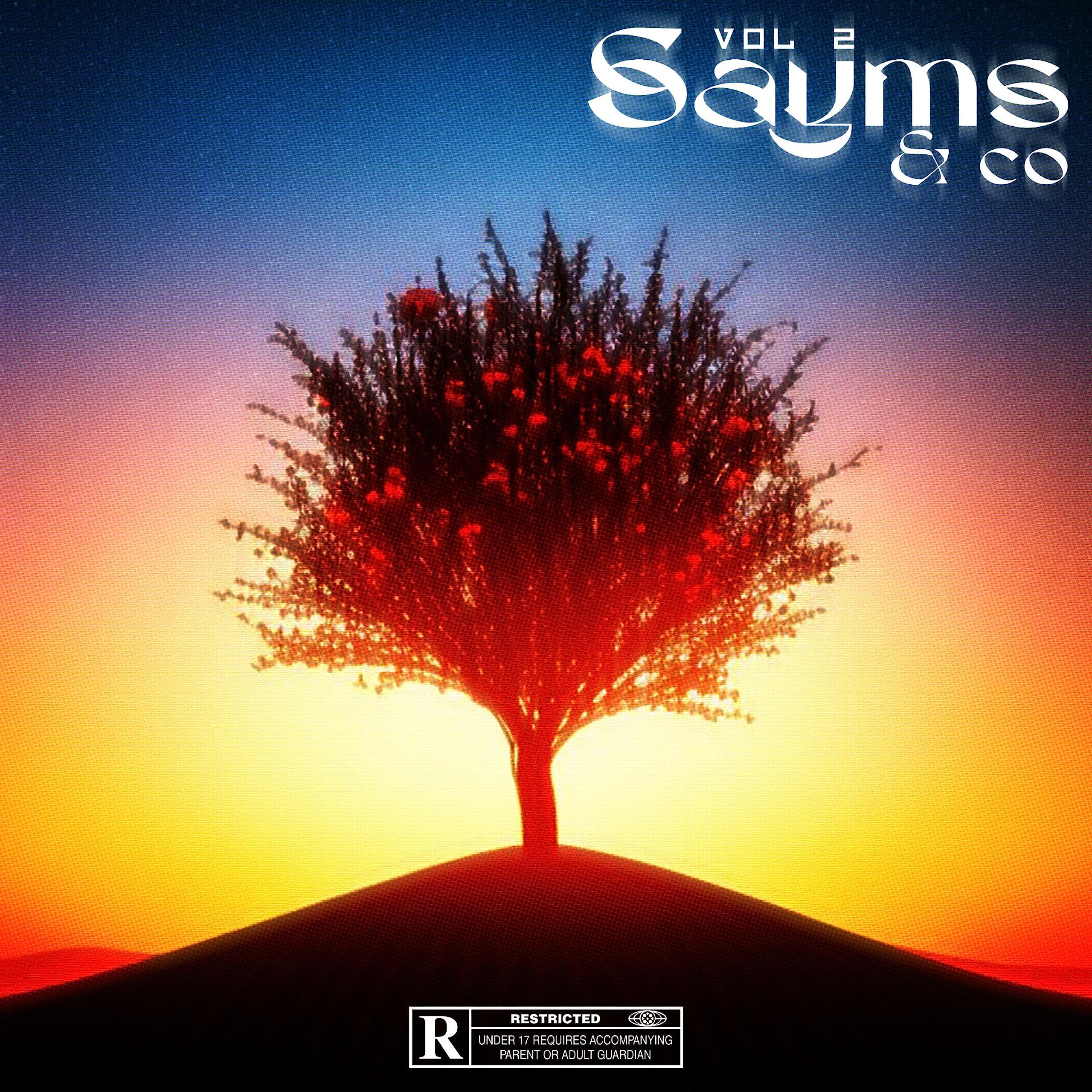 SAYMS & CO VOL 2 [Explicit]