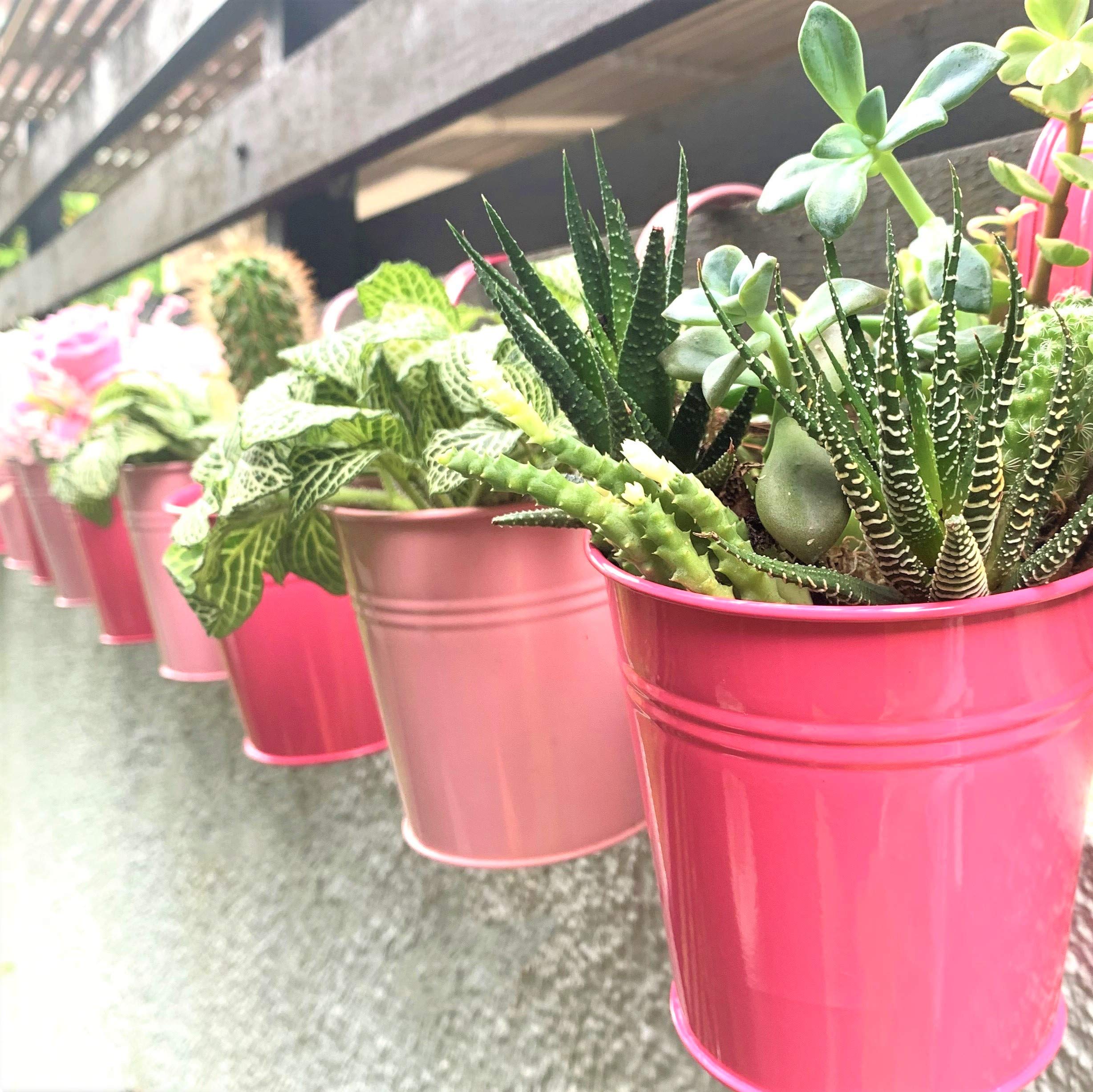 Railing Planters Outdoor -10 Pack, 4 Inch Metal Hanging Planter Box, Small Pink Hanging Plant Pot Succulent Indoor Patio Planters Fence Planter Bucket Garden Wall Decor Rail Deck Macetas Decorativas