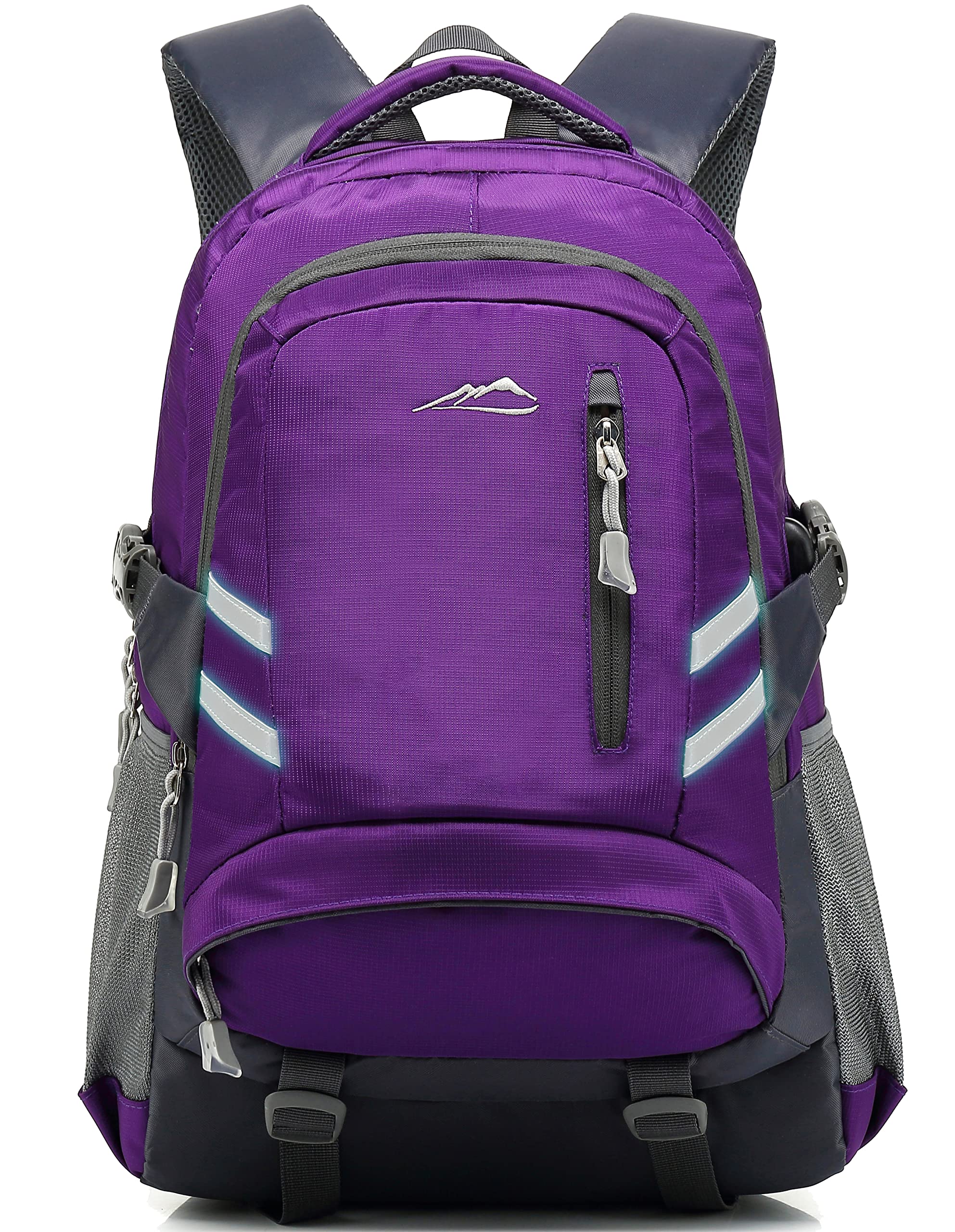 Backpack Bookbag for College Laptop Travel,Fit Laptop Up to 15.6 inch Multi Compartment with USB Charging Port Anti theft, Gift for Men Women (Purple)