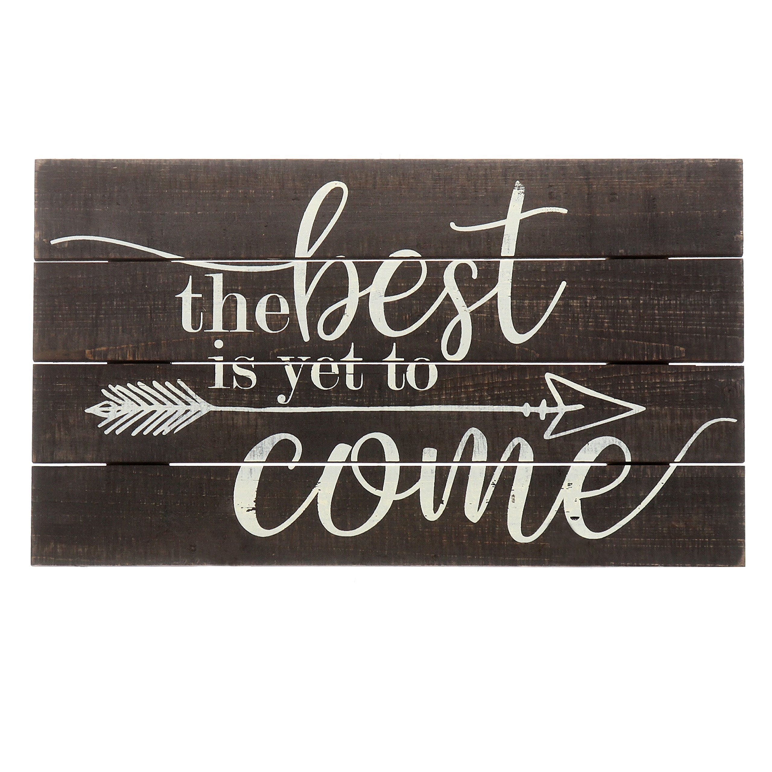 Barnyard Designs The Best is Yet to Come Rustic Wood Hanging Sign Decorative Wall Decor 17" x 10"