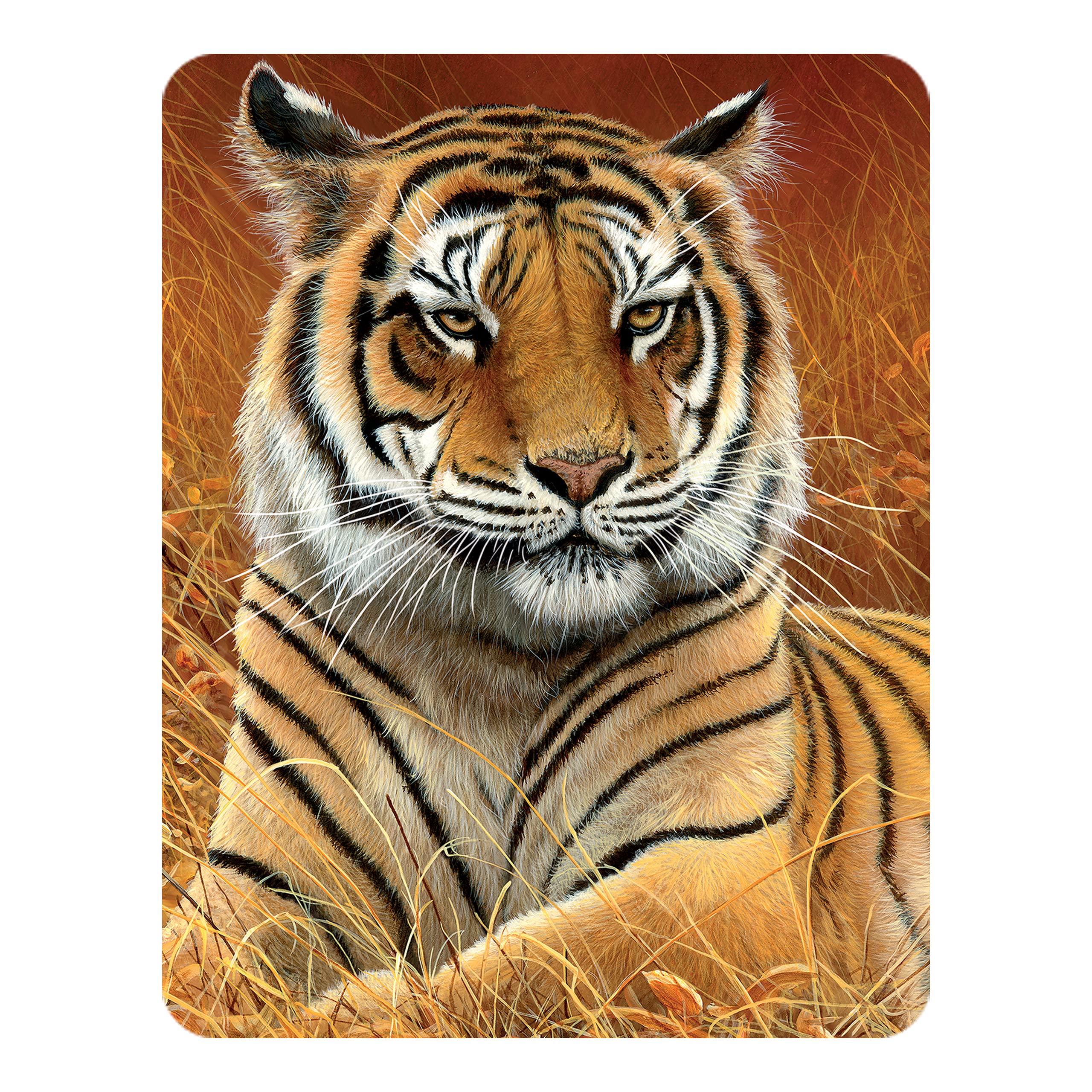 3D LiveLife Magnet - Aloof from Deluxebase. Lenticular 3D Tiger Fridge Magnet. Magnetic decor for kids and adults with artwork licensed from renowned artist, Jeremy Paul