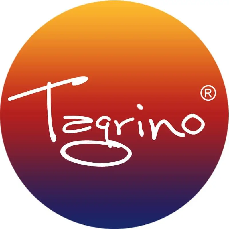 Tegrino-Studio-LOGO