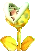 Gold Piranha Plant