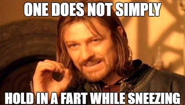 sneeze fart meme