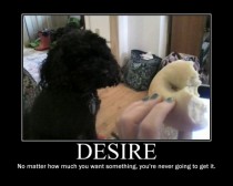 Desire