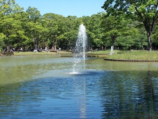 Nice bit of green in the center of a huge city - Review of Yoyogi Park ...