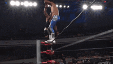 a blurry picture of a wrestling match with the word ufc on the ring