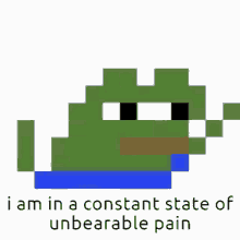 a pixel art of a frog with the words i am in a constant state of unbearable pain