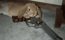 a rabbit is laying on the floor with a gun in its mouth .