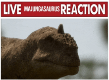 a picture of a dinosaur with the words live majungasaurus reaction