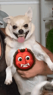 a person is holding a small white dog with a devil mask on its chest