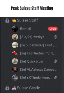 a screenshot of a peak suisse staff meeting on discord