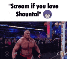 a picture of a wrestler with the words " scream if you love shauntal "