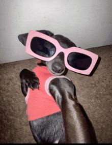 a dog wearing pink sunglasses and a red shirt