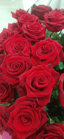 a bunch of red roses on a table