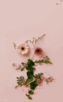 a pink background with flowers and leaves on it and the number 8 on the bottom right corner