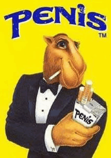 a camel in a tuxedo is smoking a cigarette and holding a box of penis cigarettes .