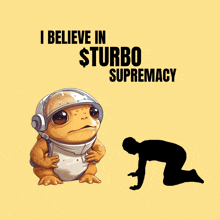 a poster with a frog and the words " i believe in turbo supremacy " on it